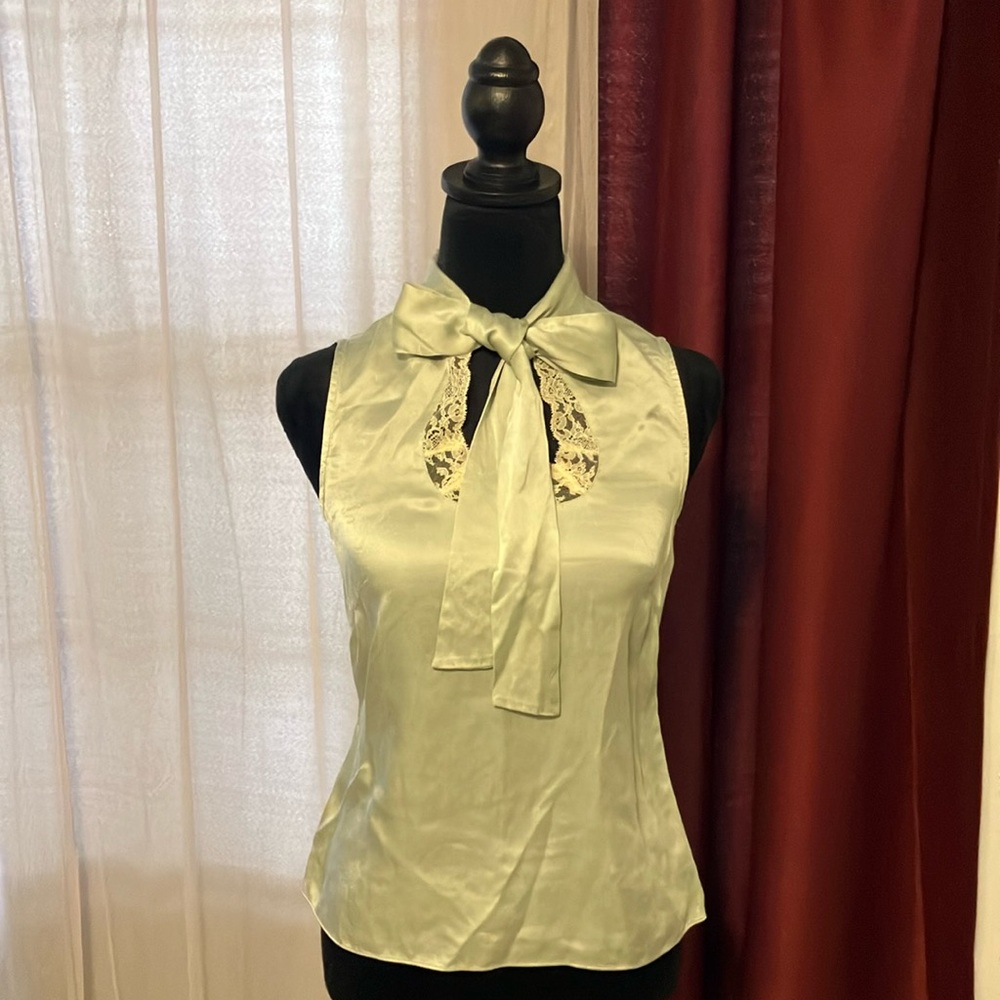 This beautiful silk blouse is very elegant. Great for a party.